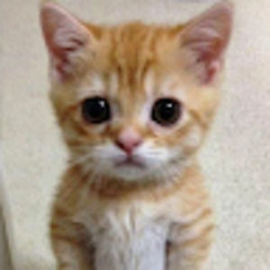 Meet your Posher, Vicky